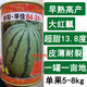 Chunzhiyun Watermelon Seeds Super Sweet Duzaojia 8424 Kirin Resistant to Cracking Red Flesh Early Mature Thin-Skinned Seedless Watermelon Seeds Resistant to Cracking and Thin-Skinned Red Flesh Zaojia 8424 Canned 900 Tablets