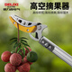 Delixi fruit-picking artifact pruning shears telescopic high-branch shears high-altitude fruit picking extended picker high-altitude fruit picking manual agricultural tools 1.8-3 meters / thickened 2-section telescopic + 3 pieces + knife head