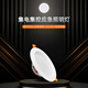 Tanda Taihe An embedded top evacuation emergency lighting 6624A current collecting fire control light 6624AG TS-ZFJC-E5W-6624AG