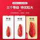 Ning'anbao wolfberry Ningxia wolfberry Zhongning special special free hair red wolfberry [280 pills/50g] Big fruit wolfberry 250g*2 cans