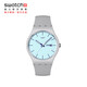 Swatch Swiss Watch Chinese Valentin's Gift Quartz Watch Table d'examen Rock Sugar Blueberry SO29M702