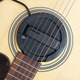 FISHMAN Fisherman Folk Acoustic Guitar Singing Speaker Loudbox Mini Box Audio Pickup Mini 60W