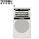 Tecsun R-218 radio portable elderly TV audio mini campus broadcast semiconductor pocket mini radio white