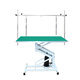 Chunzhou N-201 Large Hydraulic Beauty Table Pet Hydraulic Lift Beauty Table Black Dot