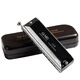 Chimei Chrystone harmonica for adults and children beginners playing 12 holes/16 hole harmonica 12 holes C tune Silver