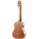 
Tom Ukulele Nalu series adult children beginner spruce mahogany Uklili small guitar 23-inch N520C [Mahogany] original soundtrack