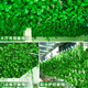 Zhengba Fake flower rattan simulated grape leaves decorative rattan leaves green plants wall-mounted pipes to cover the roof ceiling vines 12 packs of 81 green ivy leaves