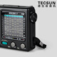 Tecsun R-909 ältere Vollband-Radiosendung Halbleiter tragbarer älterer Zeiger Mini-FM-Radiostandard + Tecsun DC-05A Netzteil
