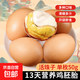 Live bead egg embryo Shandong specialty fresh 13-day ready-to-eat five-spice spicy fresh food supermarket five-spice 20 + spicy 20 40 pieces in total Live bead egg embryo Shandong specialty fresh 13-day ready-to-eat five-spice spicy fresh food supermarket five-spice 20 + spicy 20 40 pieces in total