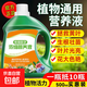 Nutrient solution plant universal flower fertilizer fortune tree rich bamboo green dill hydroponic potted household flower flower fertilizer universal concentrated type 500 ml bottle