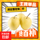 Jingxi Jiazhao County Snow Pear Hebei Snow Pear Suning Snow Pear Adecuado para hacer sopa 15 con caja 2 Jin Jin equivale a 0,5 kg Peso neto 1,6-1,8 Jin Jin equivale a 0,5 kg