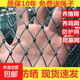 Chicken net, chicken net, fishing net, breeding net, fence net, nylon vegetable garden fence, climbing vine grid, chicken net, protective fish net, thickened 18 strands, 3 cm thick reinforced ribs, 2 meters high and 10 meters long