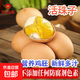 Xinjiyuan live beads egg embryo spicy hairy egg 13 days fresh tempered egg five-spice fresh ready-to-eat live beads 40 five-flavor Xinjiyuan live beads egg embryo spicy hairy egg 13 days fresh tempered egg five-spice fresh ready-to-eat live beads 40 five-flavor