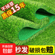 Simulated lawn plastic outdoor artificial green mat high-end fake turf carpet stadium balcony kindergarten mat 3cm encrypted spring grass 3m wide x 5m long