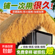 Simulated thatched roof straw pavilion outdoor plastic straw shed eaves scenic B&B courtyard carpet decoration flame retardant waterproof insulation export grade straw yellow 4 meters wide * 5 meters long manual cutting