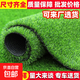 Simulated lawn carpet, artificial artificial turf, green outdoor decoration, fake grass plastic mat, balcony kindergarten, 2cm thickened spring grass (2m wide*25m long)