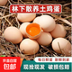 Chuanhua Agriculture’s authentic farm-raised free-range eggs are now picked up and found, 6 pieces Chuanhua Agriculture’s authentic farm-raised free-range eggs are now picked up and found, 6 pieces