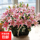 Lily potted flowers bloom in all seasons with buds. Perfume lily indoor and outdoor flower potted lily bulb seeds. Individual bulb colors are random. Pot soil not included. Diameter 4-5 cm.