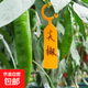 Gardening label thickened waterproof colorful plastic flower label plant flower pot flower name hook type hanging label buckle orange buckle label 100 thickened and light-resistant