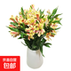 Narcissus lily flowers alstroemeria orange orange red Yunnan base fresh straight hair bloom fast and long flowering period 10 narcissus lilies (wake up the flowers first when they arrive, only 1-2 leaves can be left)