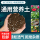 Nutrient soil for growing vegetables, organic orchid plant potting soil, coconut brick soil, selected nutrient soil 5 Jin Jin is equal to 0.5 kg