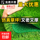 Fake turf simulated lawn green carpet outdoor artificial plastic artificial bionic outdoor insulation fence football field 3 cm newly upgraded encrypted high-quality spring grass 6 square meters 2 meters wide * 3 meters long
