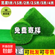 Fake turf simulated lawn green carpet outdoor artificial plastic artificial bionic outdoor insulation fence football field 2cm encrypted high-quality spring grass 2.5m wide 4m long