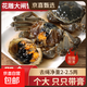 Drunken crab, raw pickled hairy crab, ready-to-eat seafood pickled crab, braised river crab sauce, hairy crab, Ningbo red paste salty choking 4 pieces, whole female hairy crab 2-2.5 taels/piece