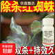 Special medicine to kill red spider mites, citrus tree red spider insecticide to kill thorn rose flowers, red spider mite medicine 2 bottles