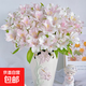 Live broadcast 10 pink Haisheng Sixth Day flowers (45-55CM) Valentine's Day gift New Year's decoration flowers 1 set