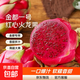 Shangchao Big Fruit Guangxi Jindu No. 1 Red Heart Pitaya Super Sweet Red Flesh Pitaya Fresh Fruit Big Fruit 6 Pack Single Fruit 400g+