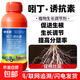 1% indolebutyric acid S-induced plant growth regulator for rice seedlings to promote rooting 500g*20 bottles per box