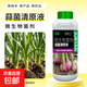 Garlic Bacteria Clear Original Liquid Garlic Agricultural Drug Rust Dry Tip Yellow Leaf Bacterial Wilt Root Rot Bactericidal Bactericidal Microbial Agent 500g*1 Bottle
