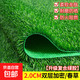 Simulated lawn carpet artificial artificial turf green outdoor decoration fake grass plastic mat balcony kindergarten 2 cm double layer encrypted spring grass 2 meters wide 6 meters long artificial cutting