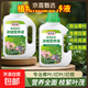 Plant nutrient solution universal household potted money tree rich bamboo green dill hydroponic flower green plant vegetable fertilizer universal nutrient solution 500ml 2 bottles