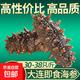 Sea cucumber, ready-to-eat sea cucumber single pack, Dalian fresh sea cucumber single pack, 500g seafood holiday gift box, ready-to-eat sea cucumber 31-50 pieces/Jin Jin equals 0.5 kg