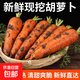Dongdong Maicai, freshly dug carrots from the origin, high-quality small fruit hot pot ingredients JD.com, Henan fresh carrots 2Jin Jin is equal to 0.5kg, net weight (1.9Jin Jin is equal to 0.5kg)