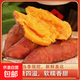 Freshly dug sandy sweet potato, fresh farm sweet potato, baked sweet potato, soft and waxy wholesale yellow heart, sandy sweet potato 4Jin Jin equal to 0.5kg, medium large fruit, box included