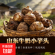 Authentic farmhouse Shandong milk taro fresh fragrant taro freshly dug taro reduced fat low calorie fragrant waxy small milk taro milk taro with box 5Jin Jin equal to 0.5 kg