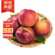 Jingxiansheng Yunnan Zhaotong Chou Apple, net weight 9Jin Jin is equal to 0.5kg, single fruit starting from 130g, fresh fruit
