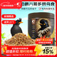 Kaiyuan starling bird food earl full price starling bird food special bird food starling full price bird food beautiful feather improvement and strong fat bird food