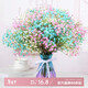 AIMAN Gypsophila natural dried flower bouquet ins internet celebrity birthday new house decoration ornaments air-dried real flower arrangement home furnishings blue + white + pink Gypsophila without vase