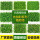 Dou Tu Gardening green plant wall simulated plant turf wall decoration indoor background flower wall green wall hanging plastic fake lawn door head 425 heads Eucalyptus