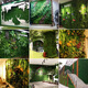 Yuanaike Custom Package Design Green Plant Wall Simulation Plant Mur Mur Decoration Salon Room Intérieur fond de fleur Mur Green Plastic Plastique Faux Porceau Balcon Fond Mur Simulation Porceau pastoral Eucaly (1 Piece Taille 40 * 60 cm)