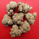 
Wenshan Panax notoginseng, direct supply of base 20 heads Panax notoginseng 500 grams