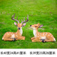 Hongri Guanghui courtyard outdoor garden forest animal decorations resin fiberglass simulated sika deer sculpture ornaments No. 1 deer pair
