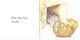 英文原版 My First I Can Read 小饼干狗系列 Biscuit Phonics Fun 12册盒装 自然拼读入门级 汪培珽早教图画绘本书 绿山墙