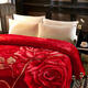 
Antarctic Rasher blanket thickened in winter warm single quilt nap blanket double wedding cover blanket available velvet blanket CC-653 Dahong 150*200cm about 5 Jin [Jin equals 0.5 kg]
