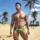 TADDLEE Мужское плавание Bottoms для взрослых плавательных дно мужское плавание.