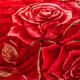 
Antarctic Rasher blanket thickened in winter warm single quilt nap blanket double wedding cover blanket available velvet blanket CC-653 Dahong 150*200cm about 5 Jin [Jin equals 0.5 kg]